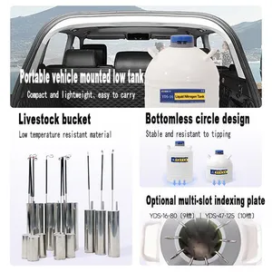 Pakistan Liquid Nitrogen Sperm Storage Tank Price KGSQ Dewars Nitrogen thumbnail-3