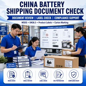 China Shipping Agent for Batteries and Sensitive Goods thumbnail-2