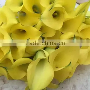 Cut Fresh Manufacture Bottom Price Calla Lily Pick thumbnail-2