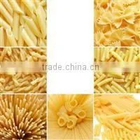 Automatic Macaroni Pasta/ Itlian Pasta/ Spaghetti Pasta Food Production Line +86-0531-15964515336 thumbnail-1