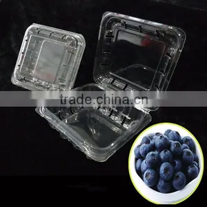 Blueberry Plastic Fruit Container thumbnail-1