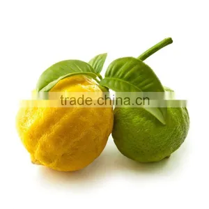 100 Pure Natural Bergamotorange Essential Oil thumbnail-1