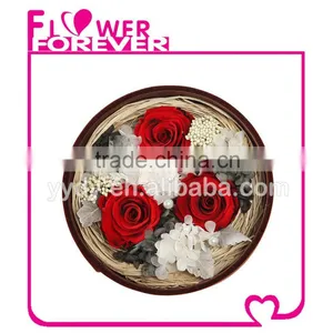 Best Selling Natural Preserved Flower thumbnail-1