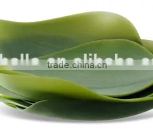 Silicone Plate thumbnail-1
