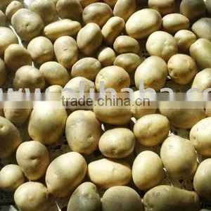 Fresh Potatoes thumbnail-1
