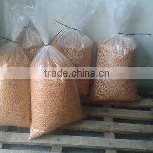 CO2 Supercritical Extract Seabuckthorn Seed Oil,Seabuckthorn,Sea Buckthorn Oil thumbnail-1