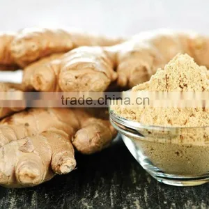 Factory Supply 100% Water Solube Ginger Extract Powder Ginger Powder thumbnail-4