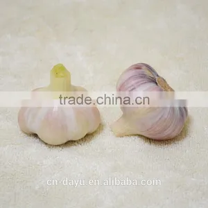 2016 Fresh Garlic Supplier thumbnail-3