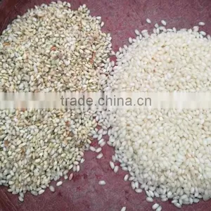 Rice Color Sorter Machine for Myanmar Rice thumbnail-1