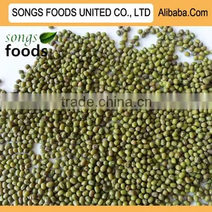 Hot Sale High Quality Green Mung Beans Specification thumbnail-1