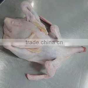 Frozen HALAL Whole Duck thumbnail-1