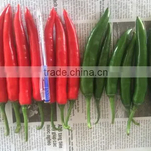 DALAT FRESH RED CHIILI thumbnail-2
