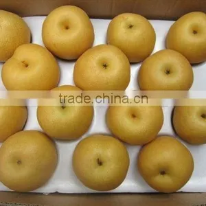 FENGSHUI PEAR thumbnail-2