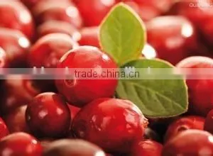 Natural High Quality Cranberry Extract Powder Proanthocyanidins/Cranberry Powder thumbnail-2