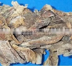GMP Natural High Quality Ecklonia Cava Extract Powder thumbnail-3