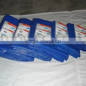 PE Tarpaulin to Africa thumbnail-1