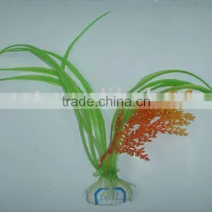 Aquarium Plant thumbnail-1