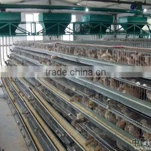 Quail Cage thumbnail-3