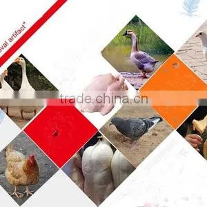 2016 Commercial Chicken Hair Removal Machine/poultry Feather Plucker Machine With One Year Guarantee thumbnail-5