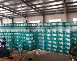 Qingdao Datao Fishing Tackle Co., Ltd. company overview - view 3 thumbnail