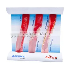 Blood Vessel Model, Dynamic Vascular Model thumbnail-1