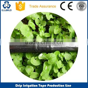 Labyrinth Drip Irrigation Pipe Production Line Labyrinth Drip Irrigation Tape Line thumbnail-1