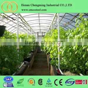 Vegetable Tunnel Greenhouse Corrugated Galvanized Steel Pipe Walk in Garden Greenhouse thumbnail-1