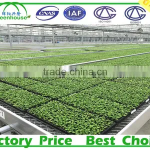 Polycarbonate Greenhouse Siding thumbnail-3