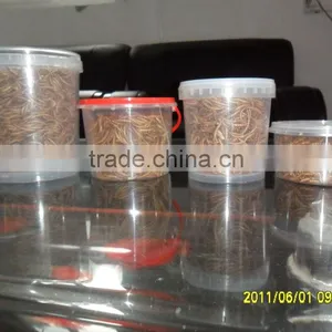 Pet Food for Birds Fish Hamster Dry Mealworms thumbnail-2