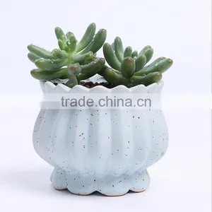 New Design Succulent Plants Ceramic Indoor Planters thumbnail-2