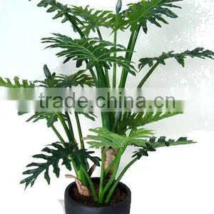 CHY030938 Hotel Decoration Everygreen Dried Plant Philodendron Plant Indoor thumbnail-1