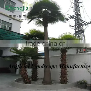 Big Artificial Canary Date Palm Tree for Indoor&outdoor Decoration Made in Guangzhou thumbnail-1