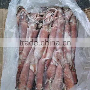 Japanese Sushi Dishes Illex Squid thumbnail-1