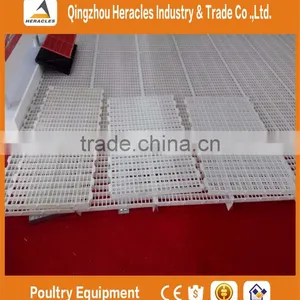 Automatic Broiler Poultry Farm Feeding and Drinking Systems & Chicken Poultry Farm Equipment thumbnail-4