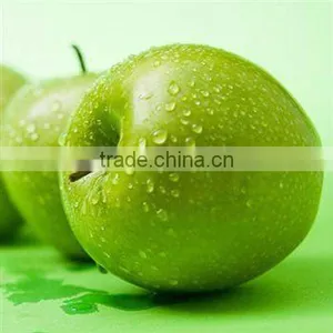 China HACCP Food Safety Consultancy thumbnail-1