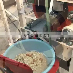 India Peanut Peeling Machine Price Peanut Wet Peeling Machine thumbnail-1