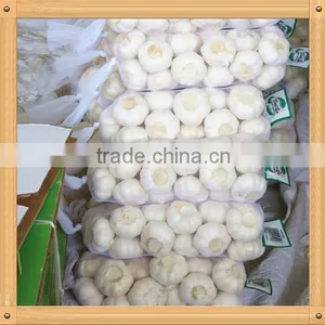 2016 New Crop Fresh Garlic in 10kg Mesh Bag and Carton China Export Garlic thumbnail-3