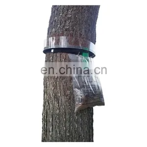Anti-Caterpillar Strap Piege Contre La Chenille Collier Trampa Para Orugas Collar Caterpillar Trap Kit thumbnail-3