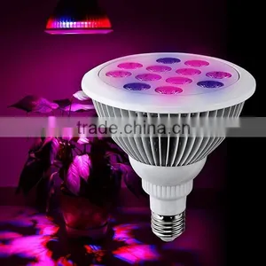GIP 12w 24w 36W E27 Par38 Led Grow Light for Plants for Flowers thumbnail-1
