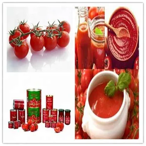 Tomato Paste Factory Machinery Ketchup Processing Production Line Plant Equipment thumbnail-5