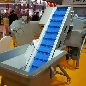 Steam Blanching Machine Industrial Food Blanching Equipment Vegetable And Fruit Pre Cooking Machine thumbnail-5