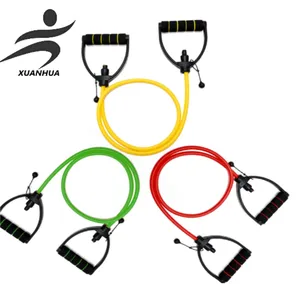 Resistance Band With Handles and Door Anchor, Adjustable Exercise Tube Band for Physical Therapy, Strength Training, Pilates and Home Workouts thumbnail-1