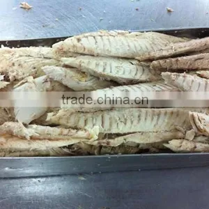 Bonito Tuna Loin for Sale thumbnail-1