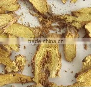 CT Series Hot Air Circulating Drying Oven for Ginger thumbnail-4