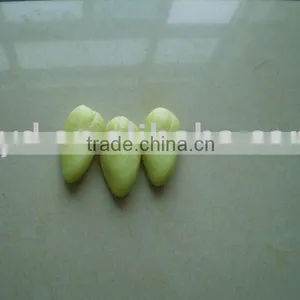 Luminescent Pebbles/glow in Dark Pebble/photoluminescent Pebble thumbnail-1