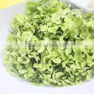 Fragrant Aroma Hot-sale Hydrangea Flower thumbnail-2