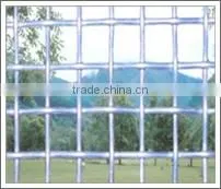 Square Wire Mesh thumbnail-1