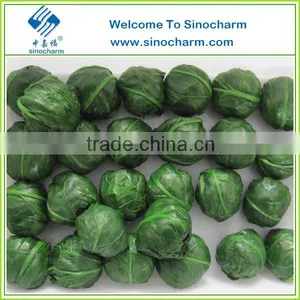 IQF Organic Frozen Spinach thumbnail-1
