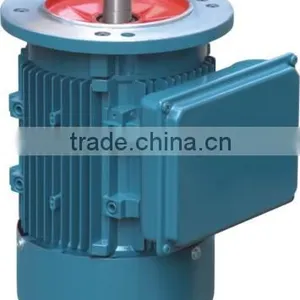 YL Series Single Phase Electric Motor Yc80b 4 Mono Phase Motor thumbnail-3