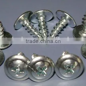 China Supplier Phillips White Truss Head Self Tapping Screw thumbnail-1
